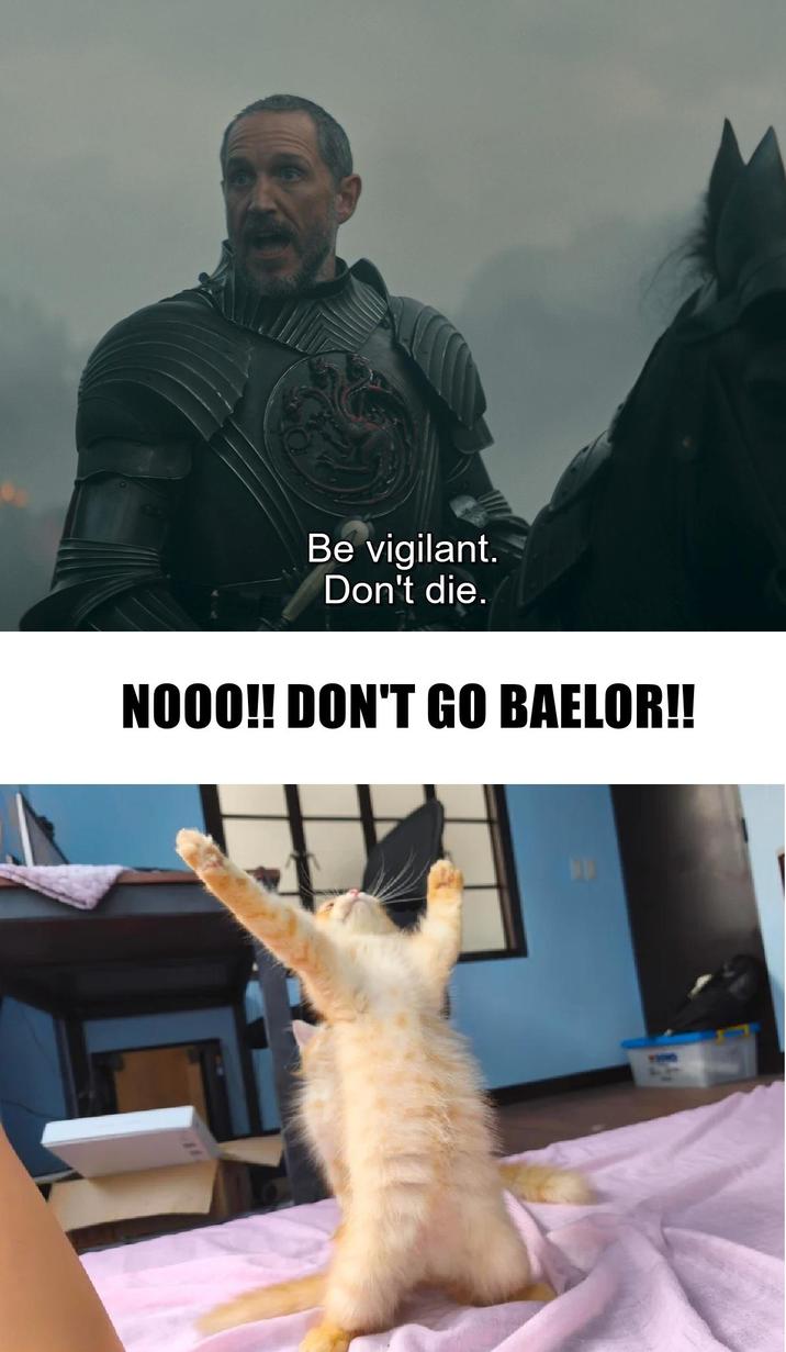 Be vigilant. Don't die. NOOO!! DON'T GO BAELOR!!
