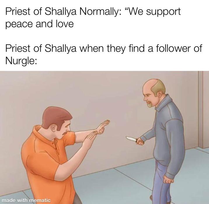 Priest of Shallya Normally: "We support peace and love Priest of Shallya when they find a follower of Nurgle: made with mematic