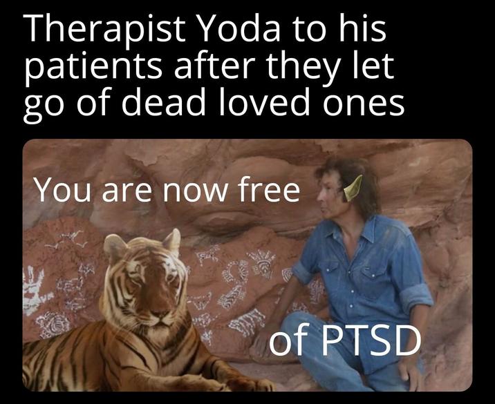 Therapist Yoda to his patients after they let go of dead loved ones You are now free of PTSD