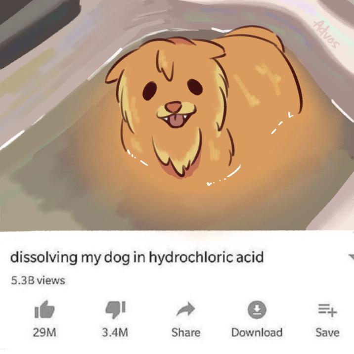 Advos dissolving my dog in hydrochloric acid 5.3B views =+ 29M 3.4M Share Download Save