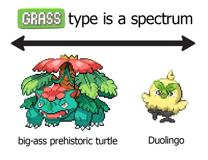 GRASS type is a spectrum big-ass prehistoric turtle Duolingo