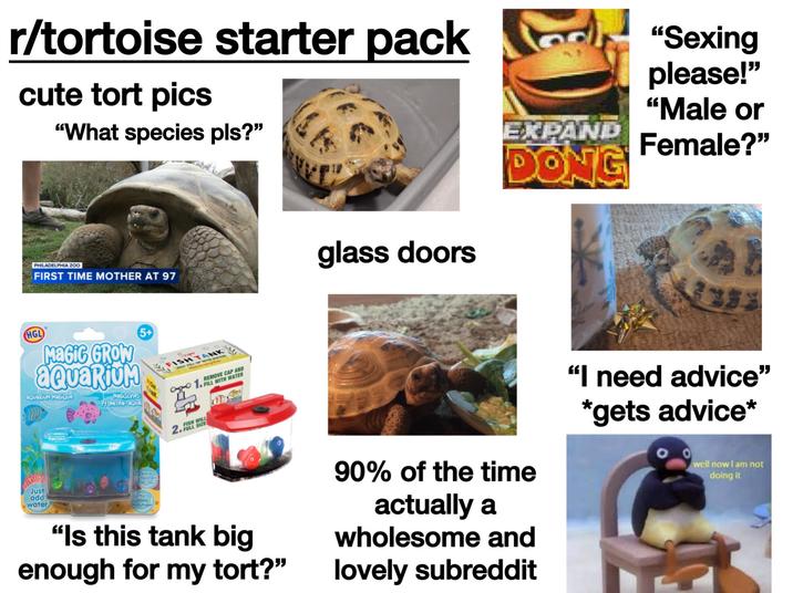 r/tortoise starter pack cute tort pics "What species pls?" PHILADELPHIA ZOO FIRST TIME MOTHER AT 97 glass doors "Sexing please!" "Male or EXPAND Female?" DONG HGL MAGIC GROW aquarium aQuaRiuM MaGiQue 5+ MaGiSches Pflanzen-aQual FISH O TANK Just add water Acoutes Nur Wosse hinzufugen Super 00 FISH TANK UST FELL UP WITH WATER REMOVE CAP AND 1. FILL WITH WATER FISH WILL "Is this tank big enough for my tort?" 90% of the time actually a wholesome and lovely subreddit "I need advice" *gets advice* well now I am not doing it