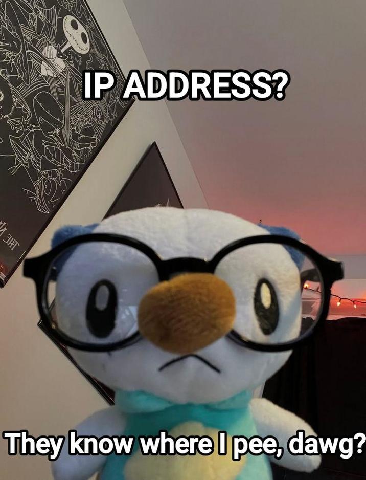 Энт IP ADDRESS? They know where I pee, dawg?
