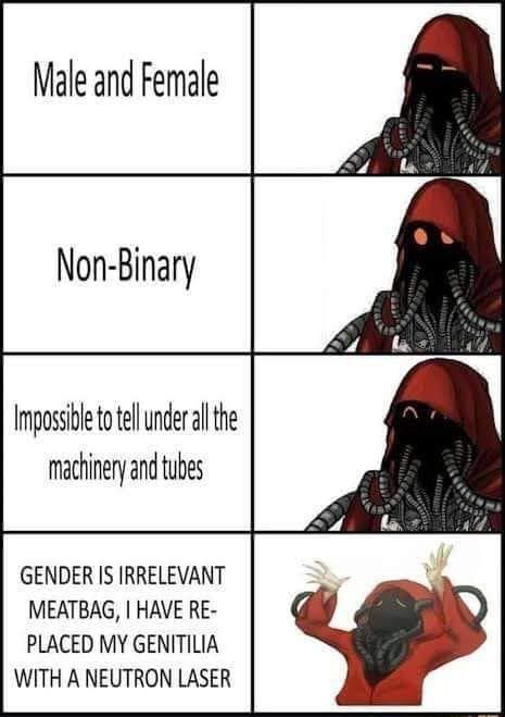 Male and Female Non-Binary Impossible to tell under all the machinery and tubes GENDER IS IRRELEVANT MEATBAG, I HAVE RE- PLACED MY GENITILIA WITH A NEUTRON LASER