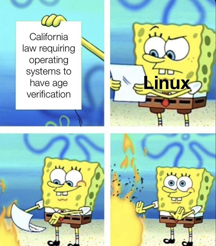You literally cannot force Linux to do that | /r/memes | Know Your Meme