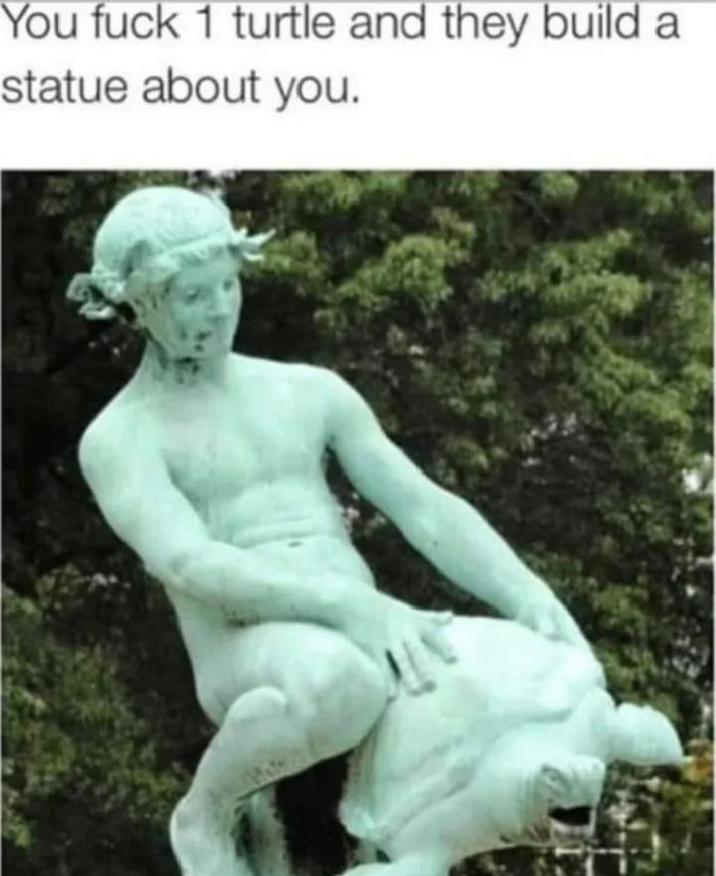 You f--- 1 turtle and they build a statue about you.