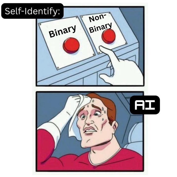 Self-Identify: Non- Binary Binary AI