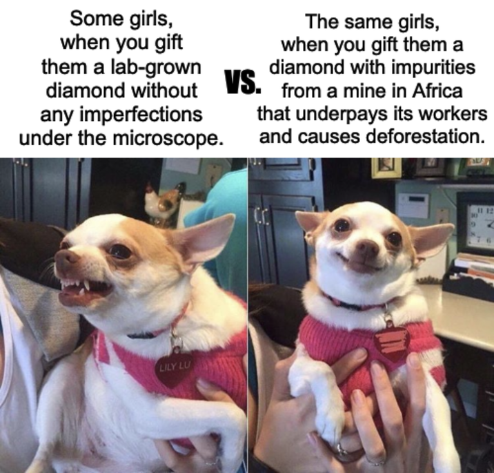 Some girls, when you gift The same girls, when you gift them a them a lab-grown S diamond with impurities diamond without any imperfections under the microscope. from a mine in Africa that underpays its workers and causes deforestation. LILY LU 343 9 11 12