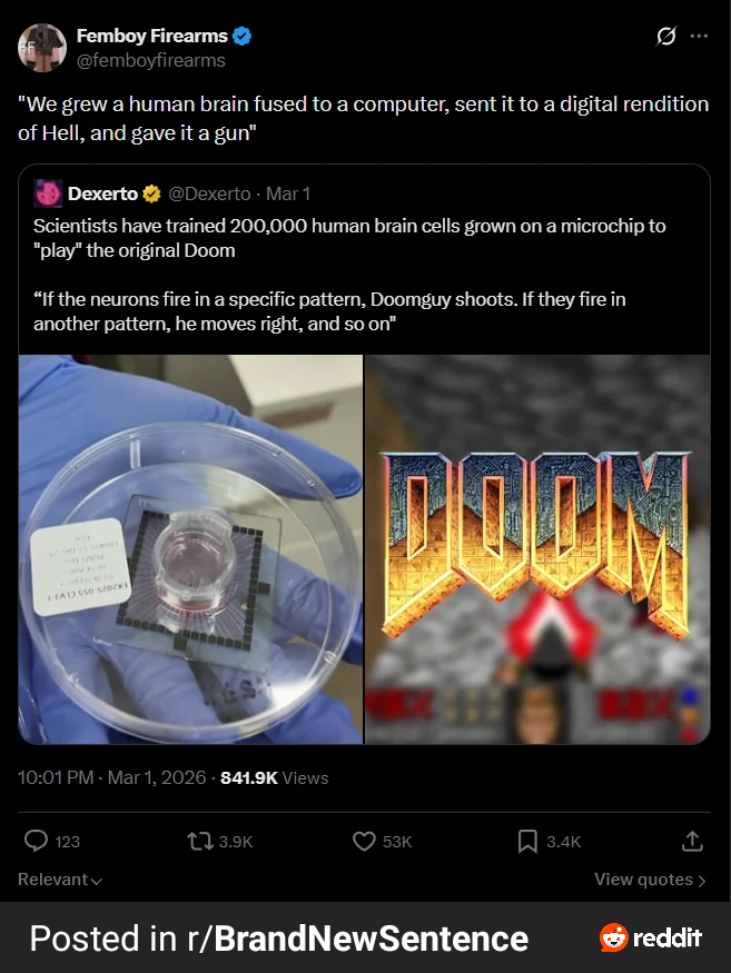 Femboy Firearms @femboyfirearms "We grew a human brain fused to a computer, sent it to a digital rendition of Hell, and gave it a gun" Dexerto @Dexerto - Mar 1 Scientists have trained 200,000 human brain cells grown on a microchip to "play" the original Doom "If the neurons fire in a specific pattern, Doomguy shoots. If they fire in another pattern, he moves right, and so on" PMY EATO 550 520CKY S 10:01 PM · Mar 1, 2026 841.9K Views DIOM 123 Relevant 3.9K 53K 3.4K View quotes > Posted in r/BrandNewSentence reddit