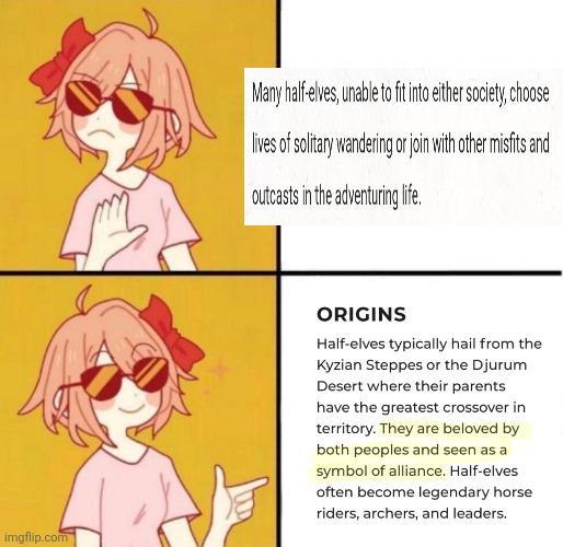 imgflip.com Many half-elves, unable to fit into either society, choose lives of solitary wandering or join with other misfits and outcasts in the adventuring life. ORIGINS Half-elves typically hail from the Kyzian Steppes or the Djurum Desert where their parents have the greatest crossover in territory. They are beloved by both peoples and seen as a symbol of alliance. Half-elves often become legendary horse riders, archers, and leaders.