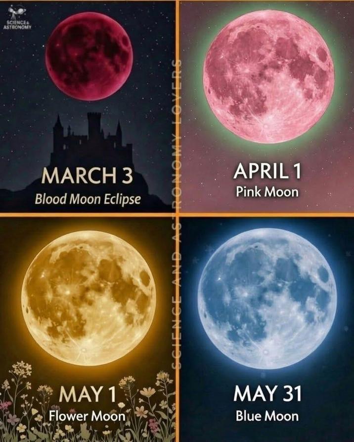 SCIENCE ASTRONOMY MARCH 3 Blood Moon Eclipse APRIL 1 Pink Moon MAY 1 Flower Moon MAY 31 Blue Moon