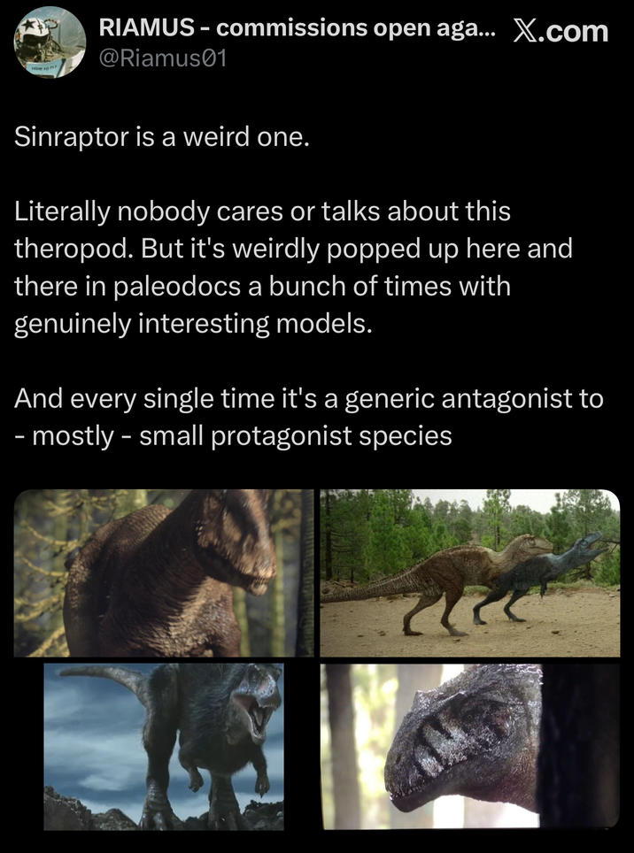 HOW FO PLY RIAMUS-commissions open aga... X.com @Riamus01 Sinraptor is a weird one. Literally nobody cares or talks about this theropod. But it's weirdly popped up here and there in paleodocs a bunch of times with genuinely interesting models. And every single time it's a generic antagonist to - mostly - small protagonist species