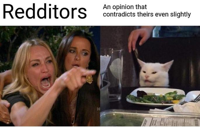 Redditors An opinion that contradicts theirs even slightly