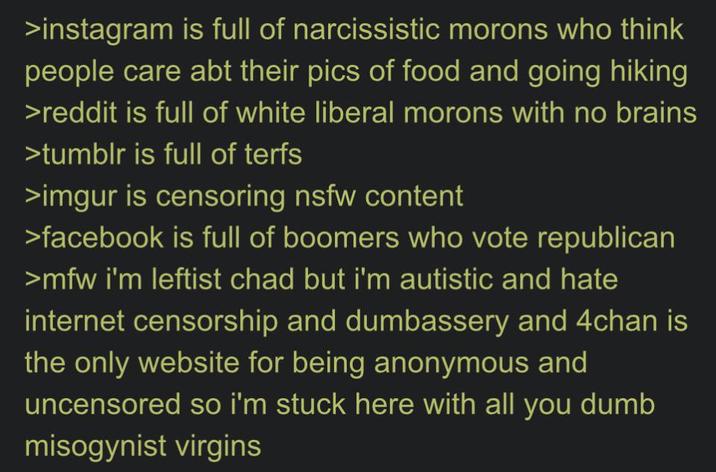 >instagram is full of narcissistic morons who think people care abt their pics of food and going hiking >reddit is full of white liberal morons with no brains >tumblr is full of terfs >imgur is censoring nsfw content >facebook is full of boomers who vote republican >mfw i'm leftist chad but i'm autistic and hate internet censorship and dumbassery and 4chan is the only website for being anonymous and uncensored so i'm stuck here with all you dumb misogynist virgins