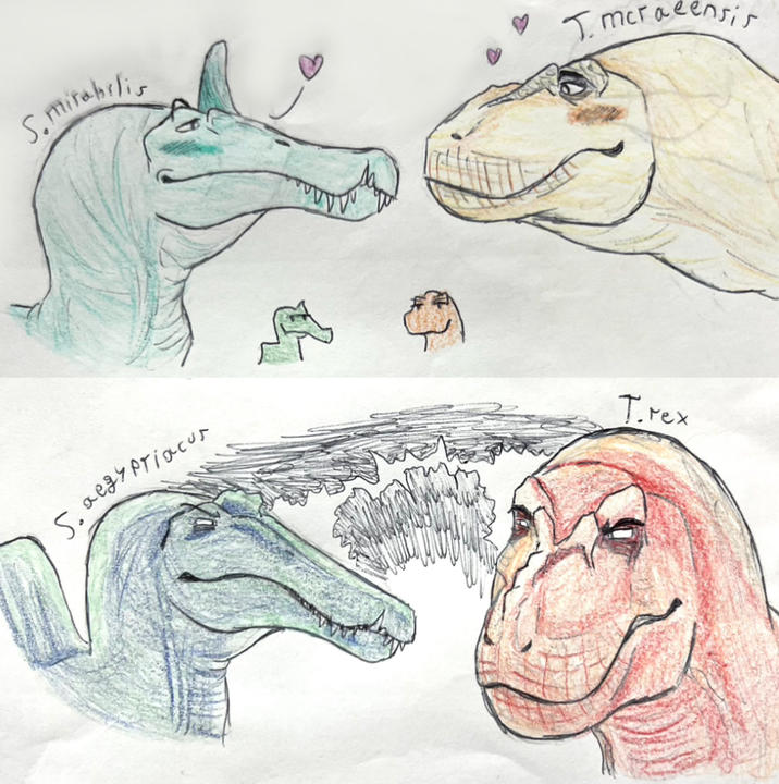 S.mirabilis Imeracensis S. aegyptiacu Trex