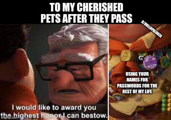 TO MY CHERISHED PETS AFTER THEY PASS U/HULLOPALOOZA I would like to award you the highest honor I can bestow. USING YOUR NAMES FOR PASSWORDS FOR THE REST OF MY LIFE