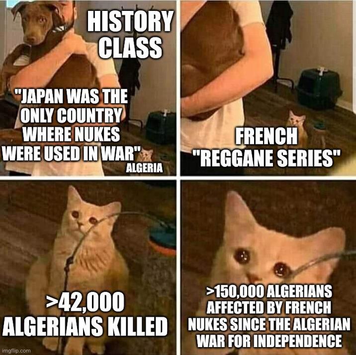 HISTORY CLASS "JAPAN WAS THE ONLY COUNTRY WHERE NUKES WERE USED IN WAR" ALGERIA FRENCH "REGGANE SERIES" >42,000 >150,000 ALGERIANS AFFECTED BY FRENCH ALGERIANS KILLED NUKES SINCE THE ALGERIAN imgflip.com WAR FOR INDEPENDENCE