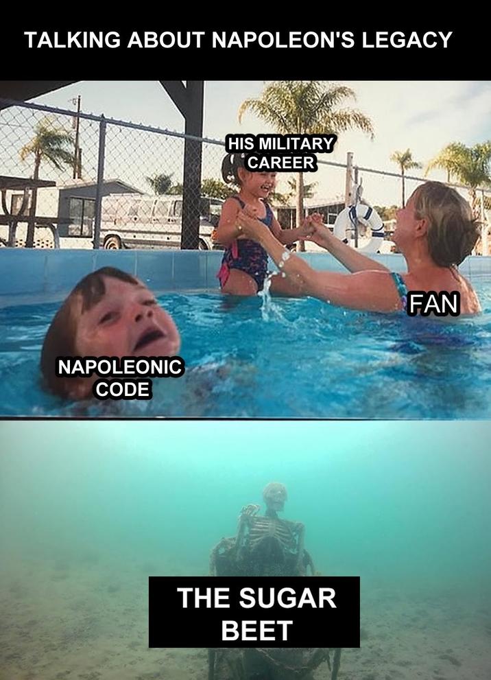 TALKING ABOUT NAPOLEON'S LEGACY NAPOLEONIC CODE HIS MILITARY CAREER THE SUGAR BEET FAN