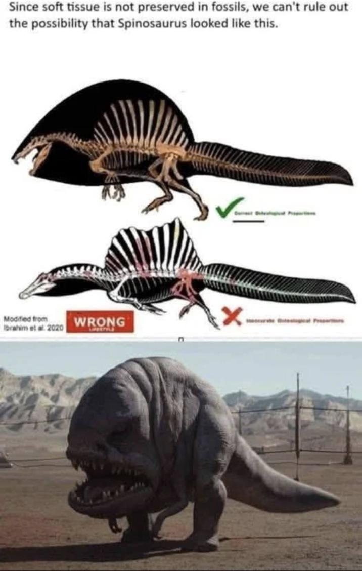 Since soft tissue is not preserved in fossils, we can't rule out the possibility that Spinosaurus looked like this. Modified from Ibrahim et al. 2020 WRONG