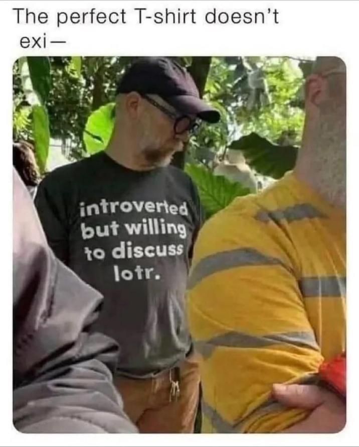 The perfect T-shirt doesn't exi- introverted but willing to discuss lotr.