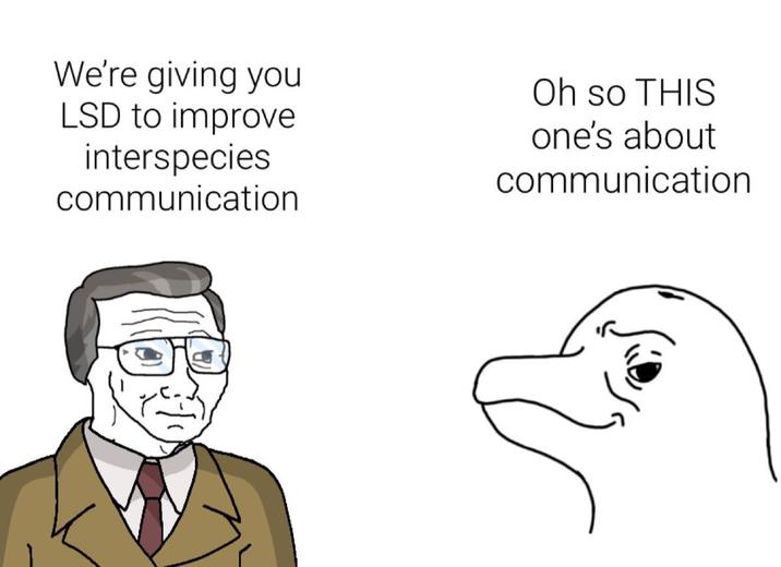 We're giving you LSD to improve interspecies communication Oh so THIS one's about communication