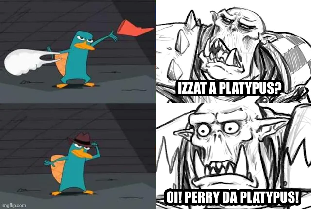 imgflip.com IZZAT A PLATYPUS? OI! PERRY DA PLATYPUS!
