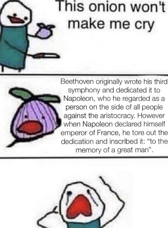 This onion won't make me cry Beethoven originally wrote his third symphony and dedicated it to Napoleon, who he regarded as a person on the side of all people against the aristocracy. However when Napoleon declared himself emperor of France, he tore out the dedication and inscribed it: "to the memory of a great man".