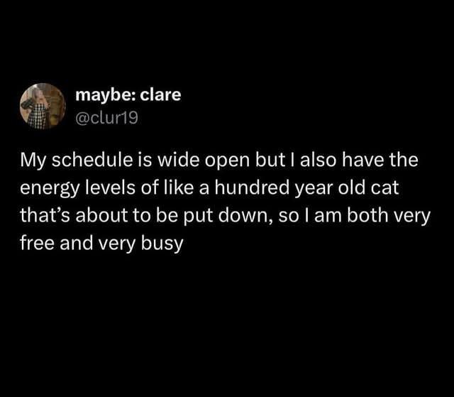maybe: clare @clur19 My schedule is wide open but I also have the energy levels of like a hundred year old cat that's about to be put down, so I am both very free and very busy