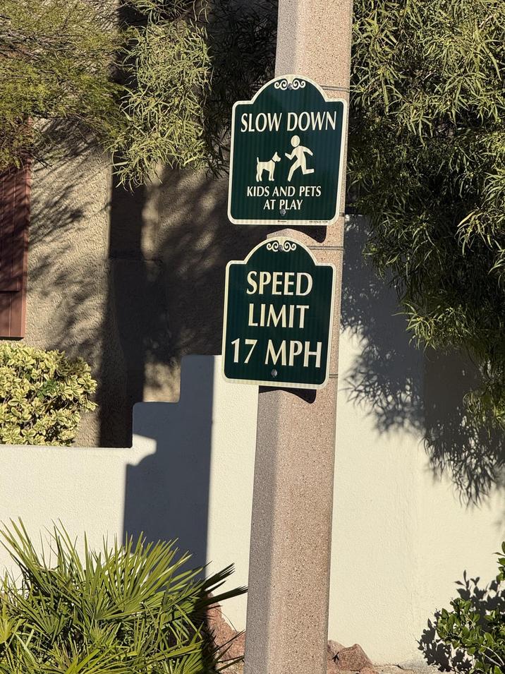 SLOW DOWN KIDS AND PETS AT PLAY SPEED LIMIT 17 MPH