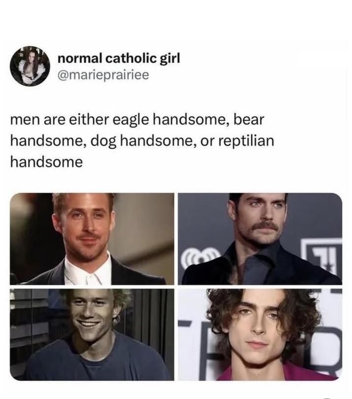 normal catholic girl @marieprairiee men are either eagle handsome, bear handsome, dog handsome, or reptilian handsome