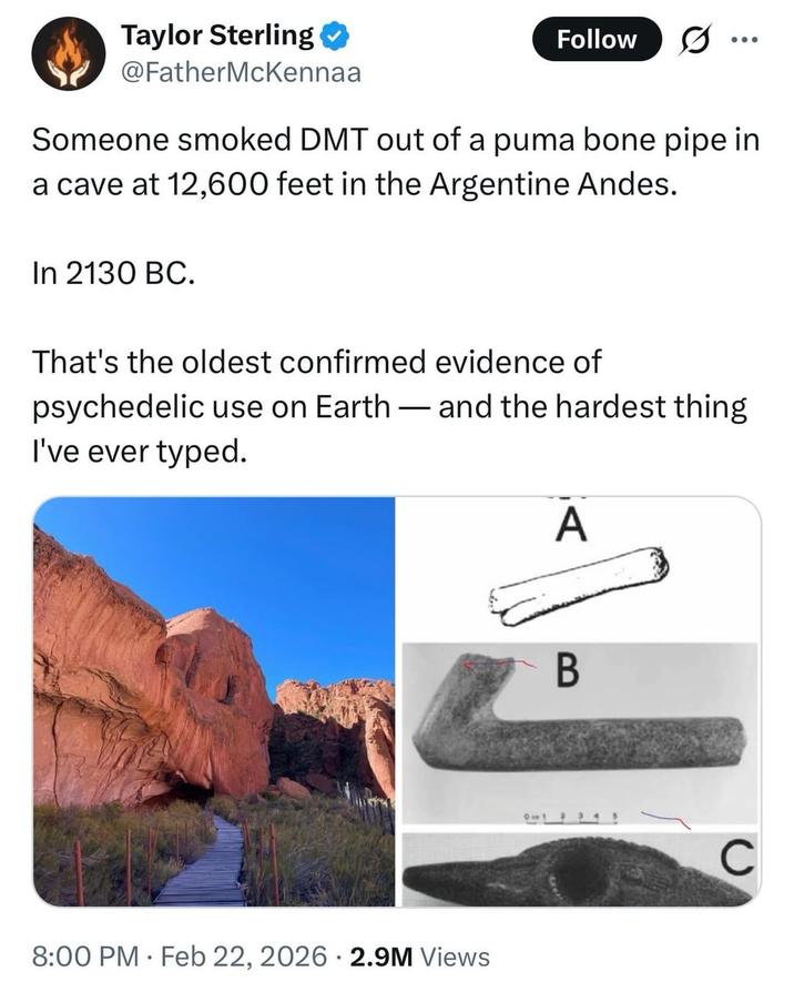 Taylor Sterling @FatherMcKennaa Follow Someone smoked DMT out of a puma bone pipe in a cave at 12,600 feet in the Argentine Andes. In 2130 BC. That's the oldest confirmed evidence of psychedelic use on Earth- and the hardest thing I've ever typed. 8:00 PM Feb 22, 2026 2.9M Views A B C