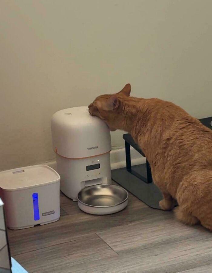 Pussanens YUPOSL