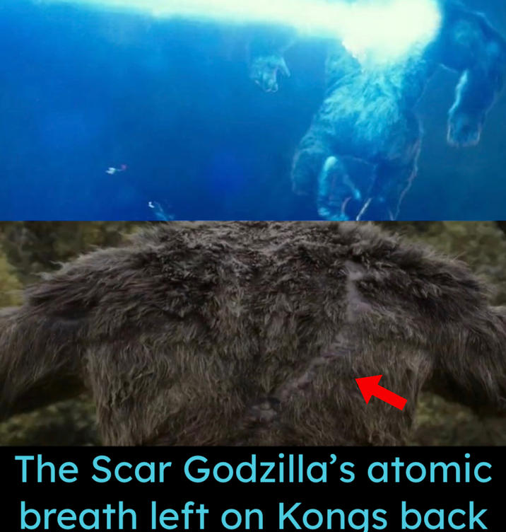 The Scar Godzilla's atomic breath left on Kongs back