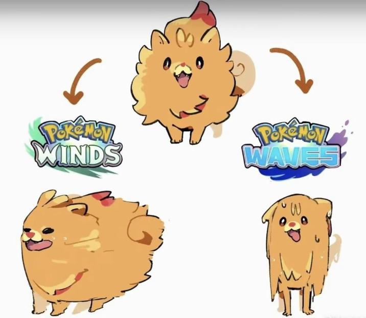 WINDS Pokémon WAVES W