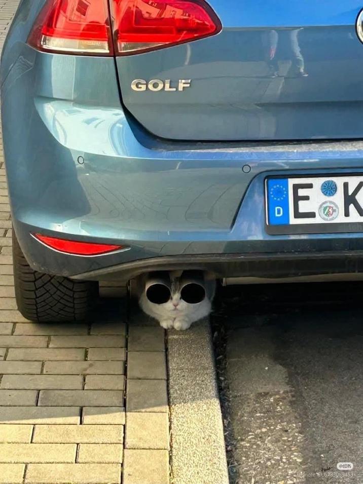 GOLF E K x note 62830694530