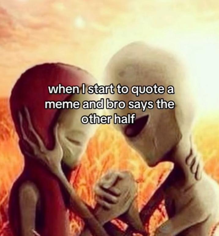 when I start to quote a meme and bro says the other half