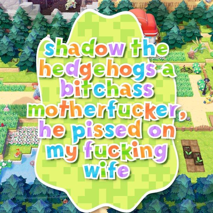An image generated with the Pokopia logo generator. It reads, "shadow the hedgehogs a b a mfer, he peed on my effing wife."