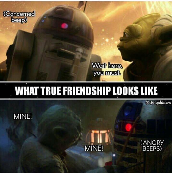 (Concerned beep) Wait here, you must WHAT TRUE FRIENDSHIP LOOKS LIKE MINE! @thegoldclaw MINE! (ANGRY BEEPS)