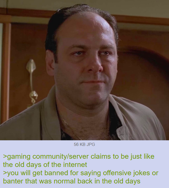 56 KB JPG >gaming community/server claims to be just like the old days of the internet >you will get banned for saying offensive jokes or banter that was normal back in the old days
