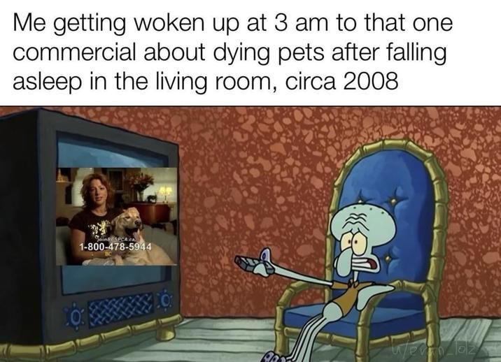 Me getting woken up at 3 am to that one commercial about dying pets after falling asleep in the living room, circa 2008 JoinBESPCA.ca 1-800-478-5944 Wenn loz