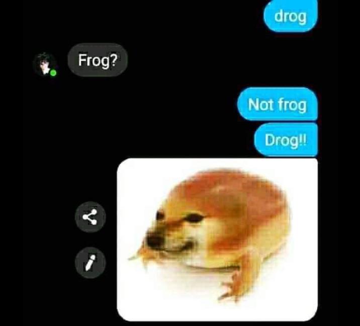 A text message thread about Drog.