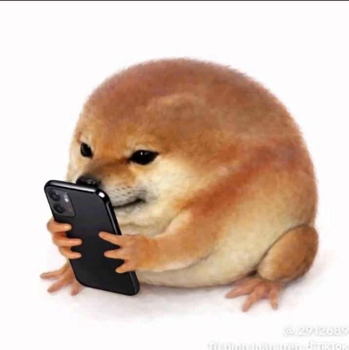 An image of Drog texting.