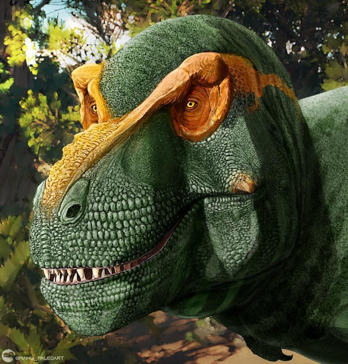 CMANU PALEOART