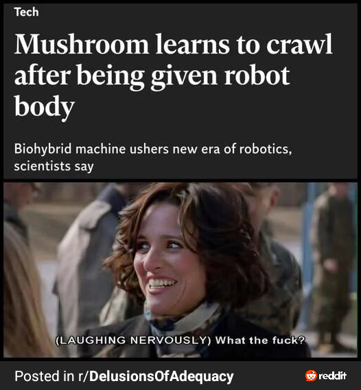 Tech Mushroom learns to crawl after being given robot body Biohybrid machine ushers new era of robotics, scientists say (LAUGHING NERVOUSLY) What the f---? Posted in r/Delusions Of Adequacy reddit