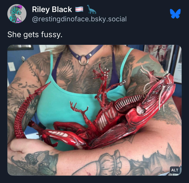 Riley Black @restingdinoface.bsky.social She gets fussy. ALT