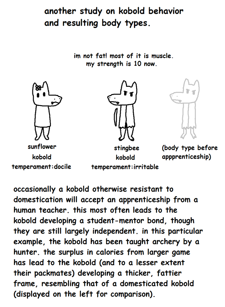 another study on kobold behavior and resulting body types. im not fat! most of it is muscle. my strength is 10 now. sunflower kobold temperament: docile stingbee kobold temperament: irritable (body type before appprenticeship) occasionally a kobold otherwise resistant to domestication will accept an apprenticeship from a human teacher. this most often leads to the kobold developing a student-mentor bond, though they are still largely independent. in this particular example, the kobold has been taught archery by a hunter. the surplus in calories from larger game has lead to the kobold (and to a lesser extent their packmates) developing a thicker, fattier frame, resembling that of a domesticated kobold (displayed on the left for comparison).