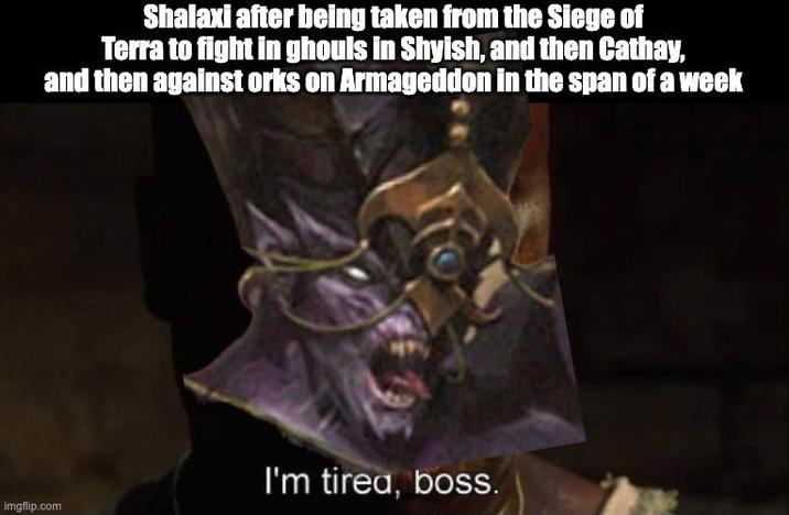 Shalaxi after being taken from the Siege of Terra to fight in ghouls in Shyish, and then Cathay, and then against orks on Armageddon in the span of a week imgflip.com I'm tirea, boss.