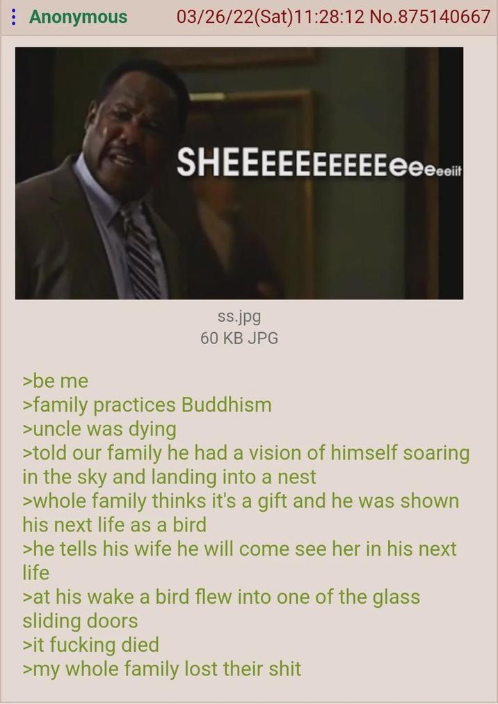 Anonymous 03/26/22(Sat) 11:28:12 No.875140667 SHEEEEEEEEEEeee...it ss.jpg 60 KB JPG >be me >family practices Buddhism >uncle was dying >told our family he had a vision of himself soaring in the sky and landing into a nest >whole family thinks it's a gift and he was shown his next life as a bird >he tells his wife he will come see her in his next life >at his wake a bird flew into one of the glass sliding doors >it f------ died >my whole family lost their s---