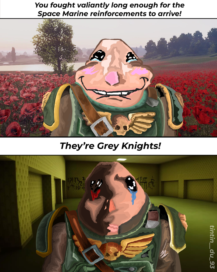 You fought valiantly long enough for the Space Marine reinforcements to arrive! They're Grey Knights! PITS 519 tintin__du_93