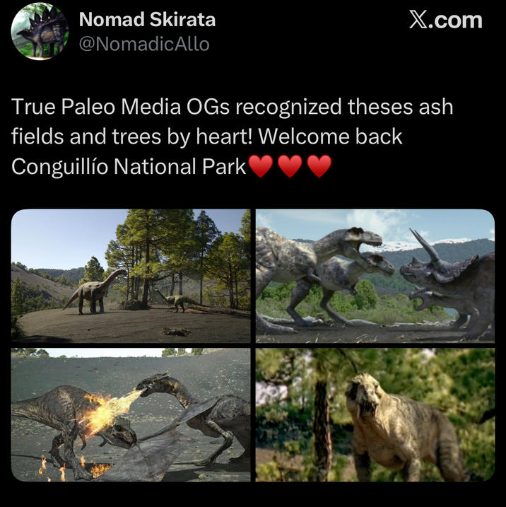 Nomad Skirata @NomadicAllo X.com True Paleo Media OGs recognized theses ash fields and trees by heart! Welcome back Conguillío National Park